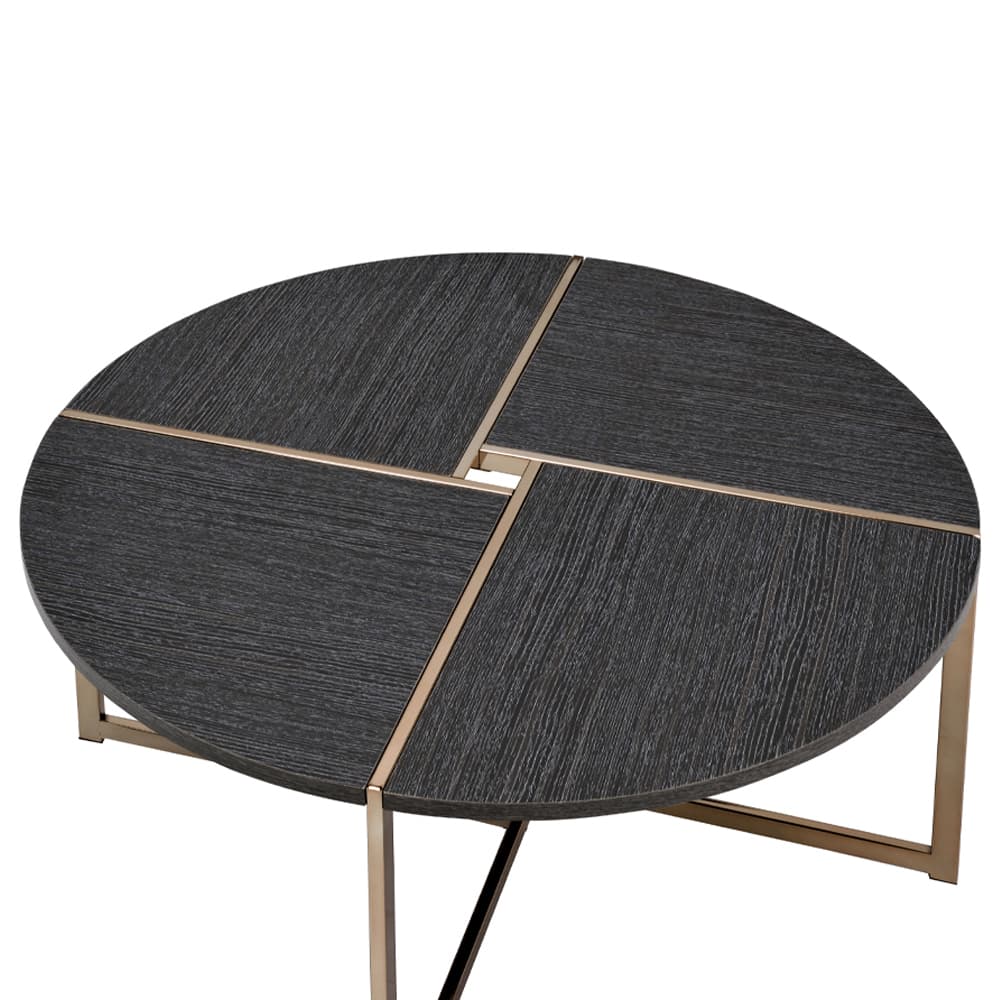 Coffee Table 4