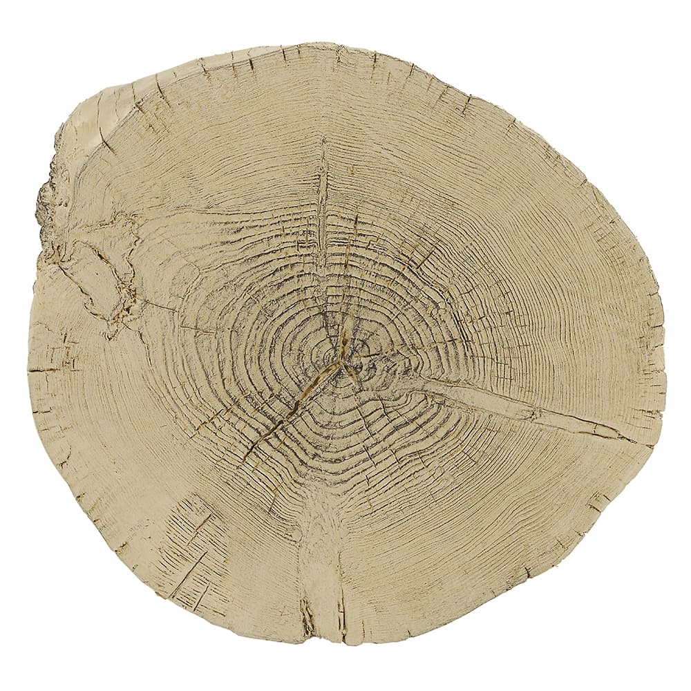 Accent Table 4