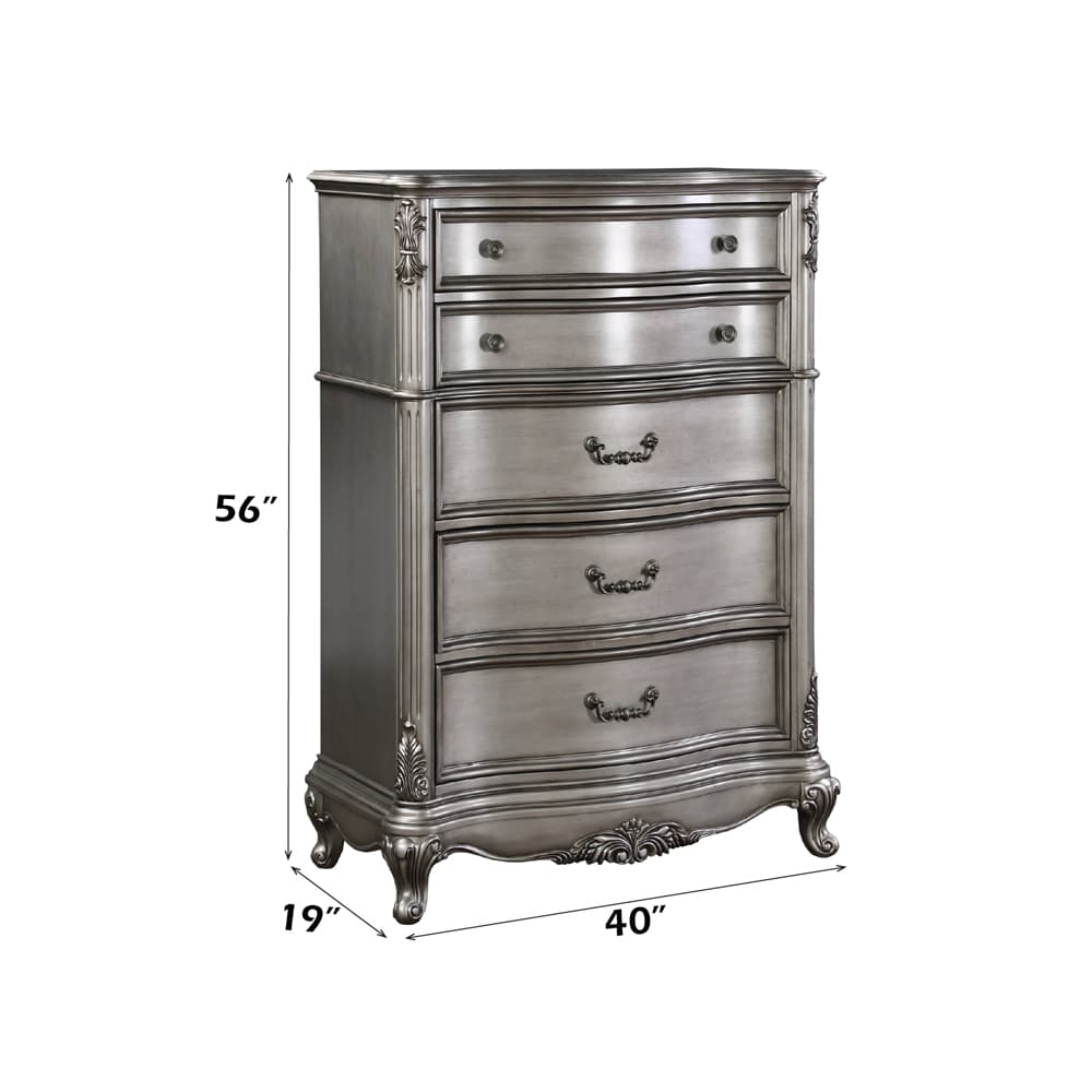 Chest 5