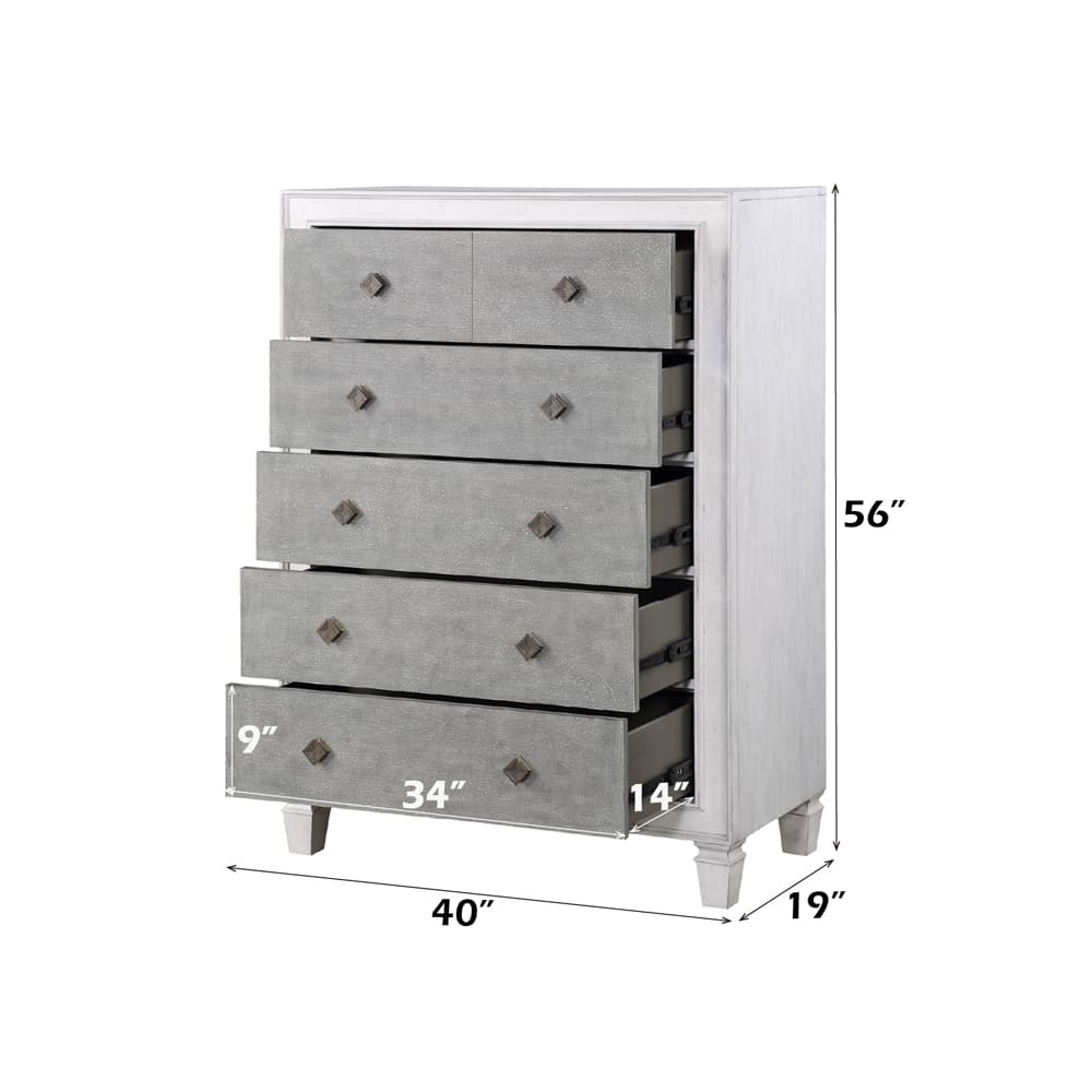 Chest 5