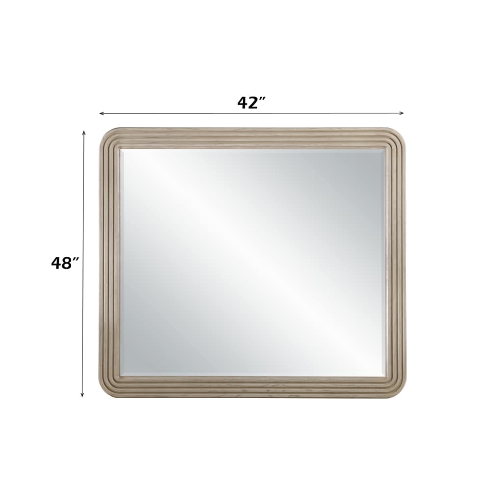 Mirror 5