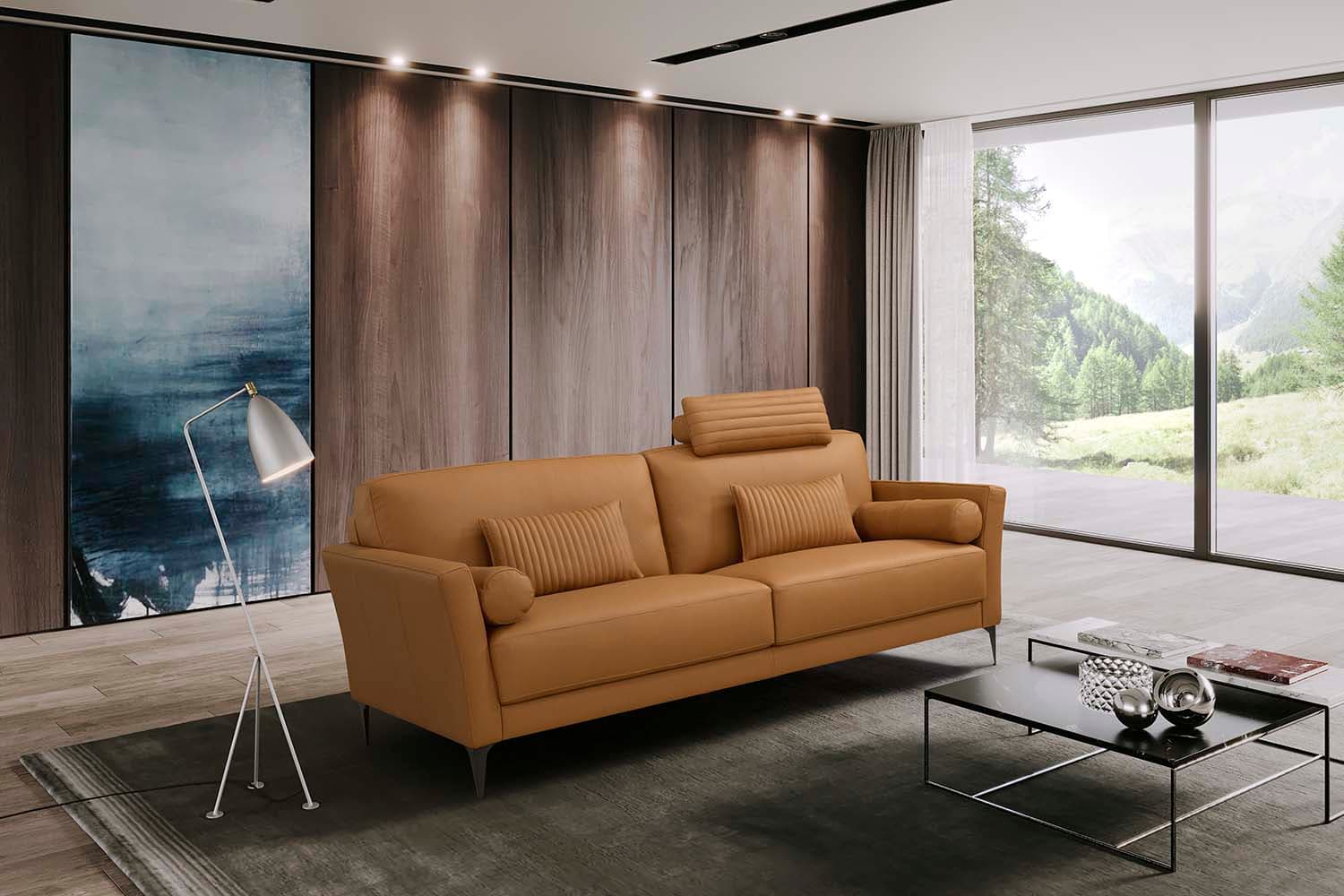 Sofa W/5 Pillows