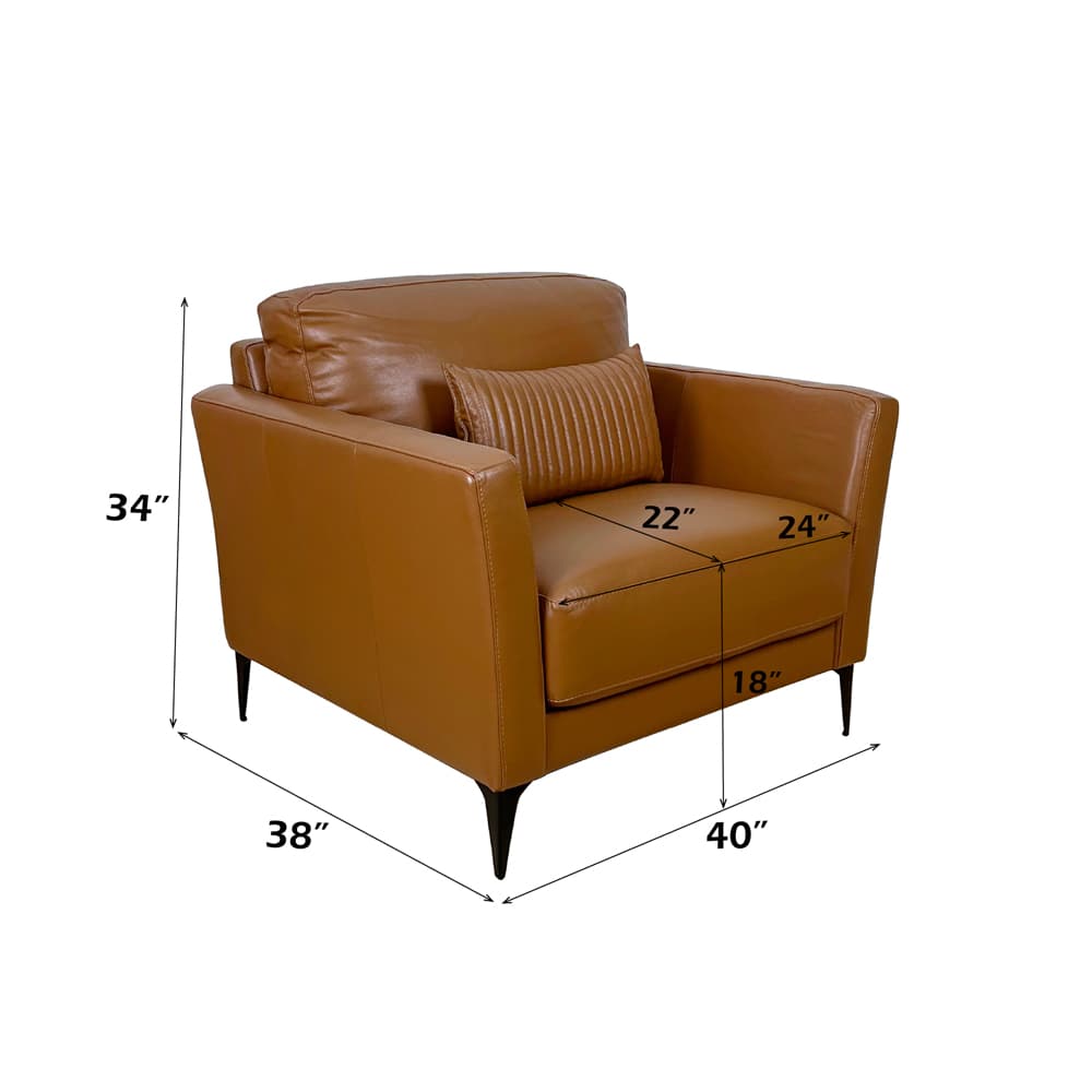 Chair W/Pillow 3