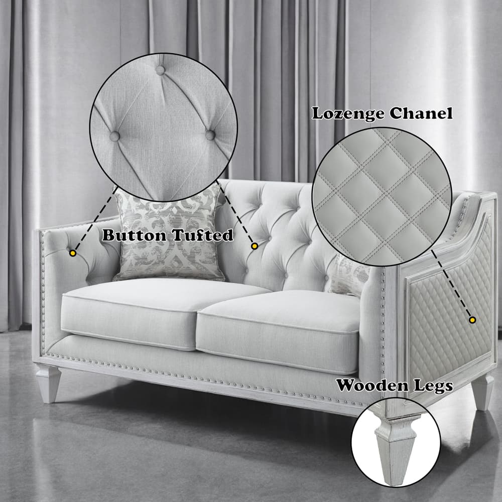 Loveseat W/2 Pillows 10