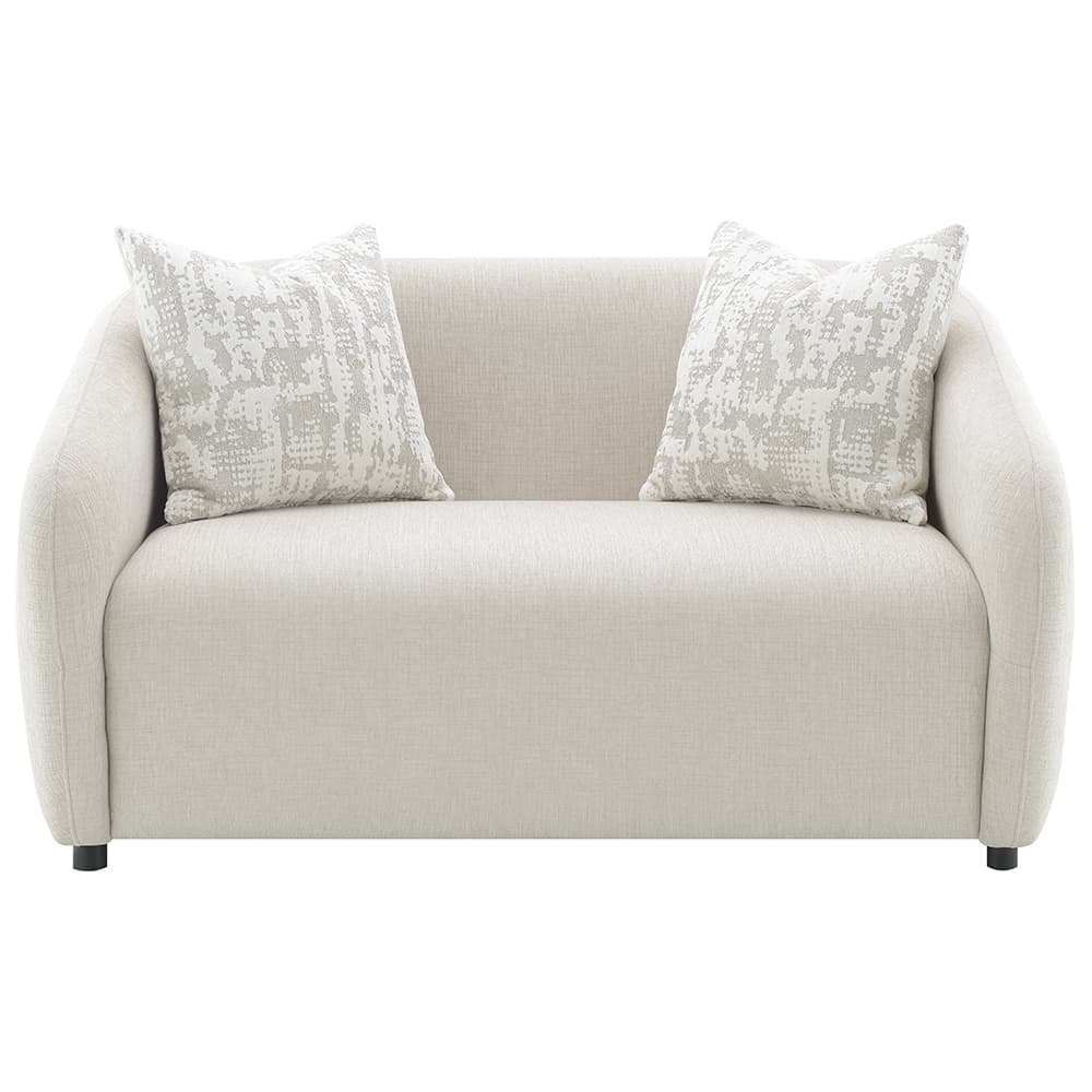 Loveseat W/2 Pillows 3