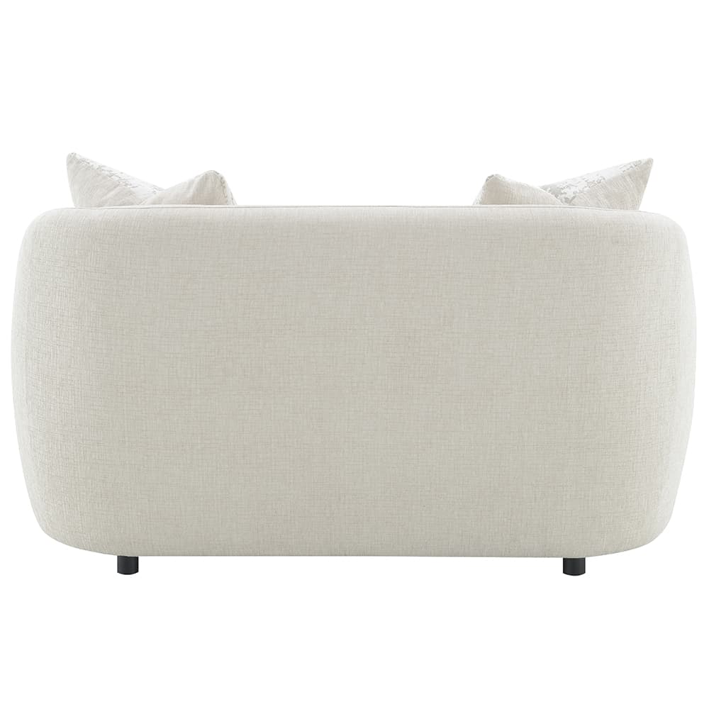 Loveseat W/2 Pillows 5