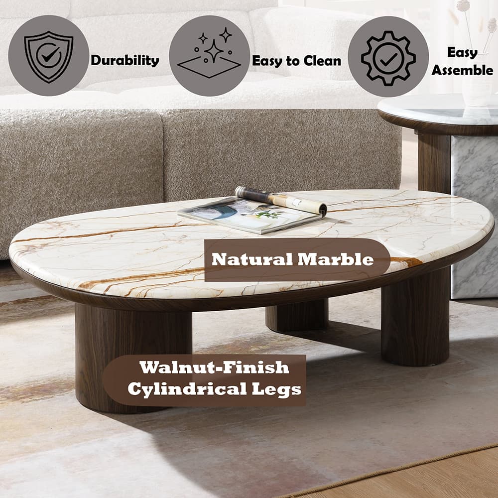 Coffee Table W/Natural Marble 6