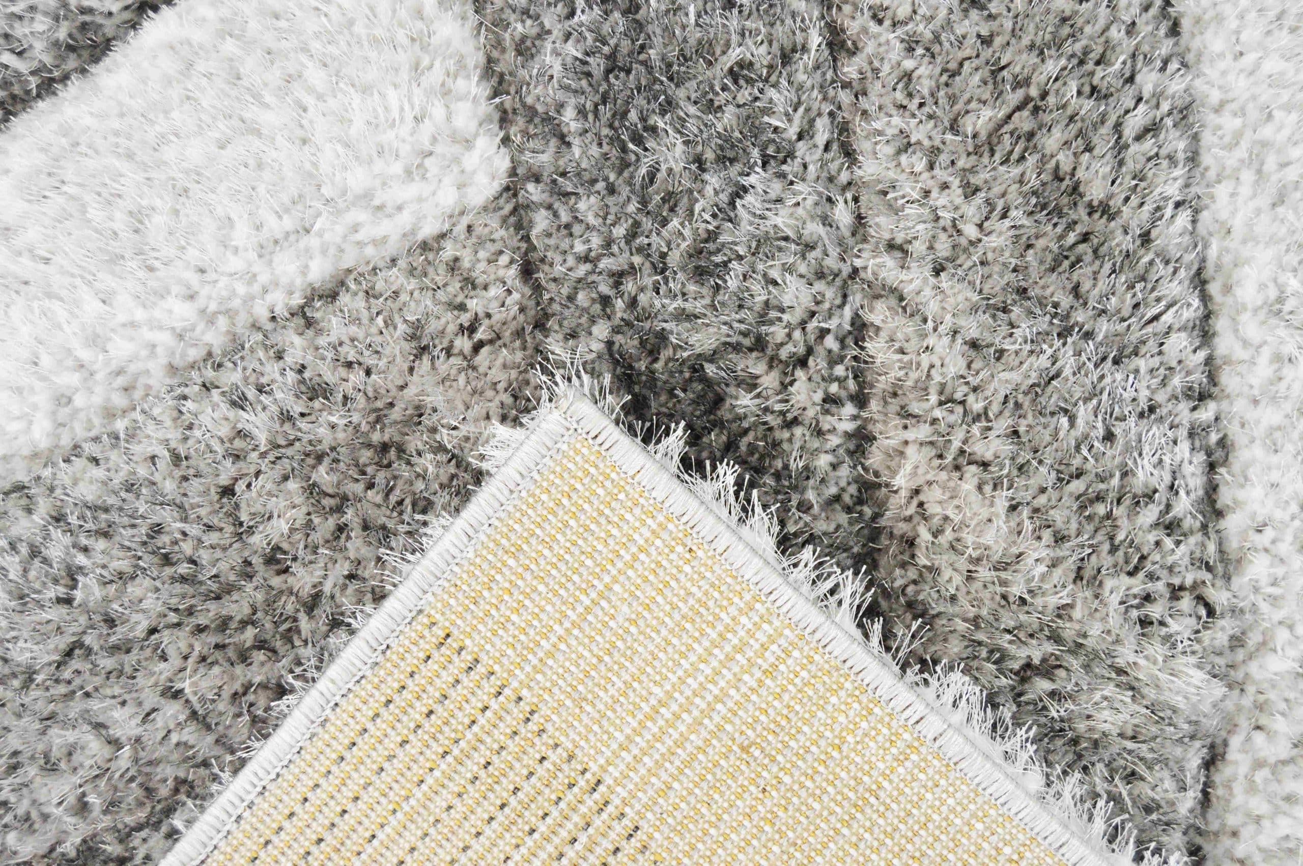 4D SHAGGY Rug Design 6483 2
