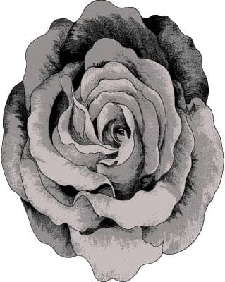 FLOWERS Rug Design 304