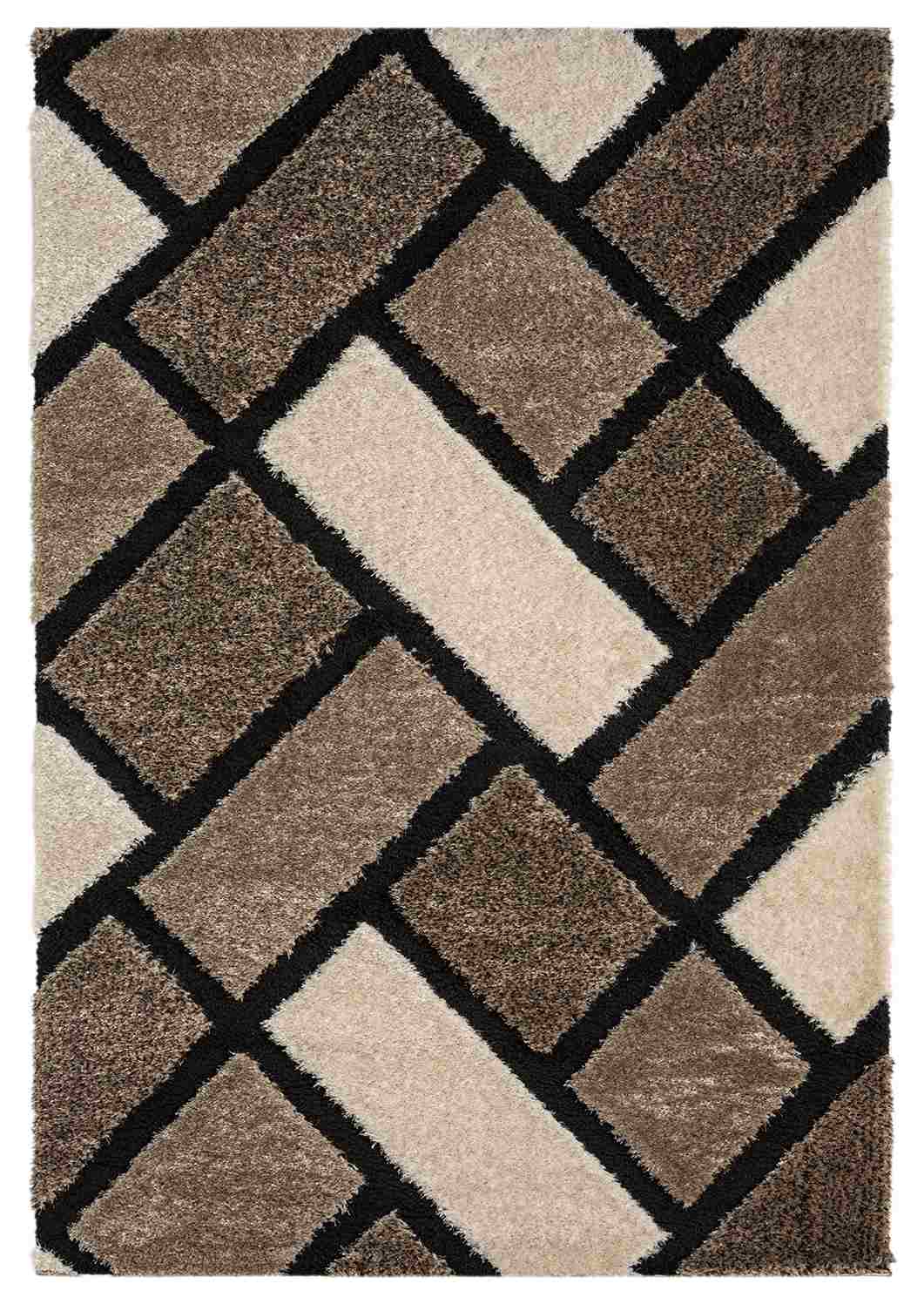 5D SHAGGY Rug Design 6419 2