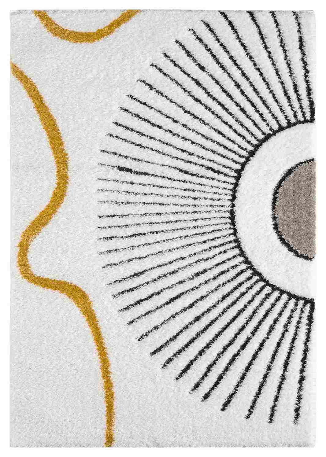 5D SHAGGY Rug Design 6420 2