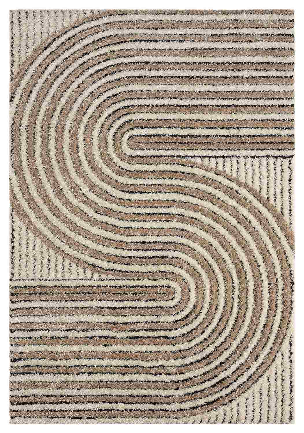 5D SHAGGY Rug Design 6421 2