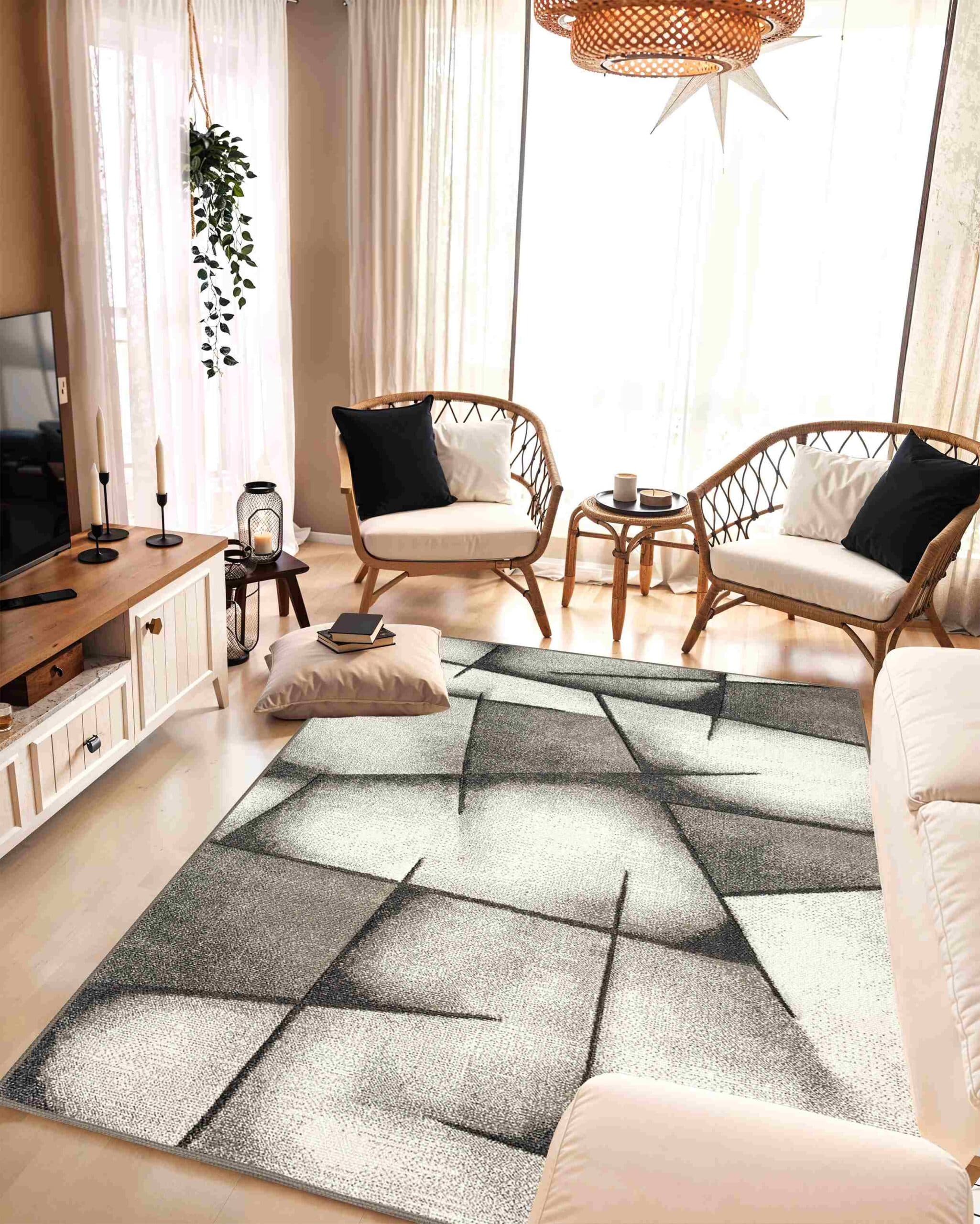 ATLAS Rug DESIGN 9958 5