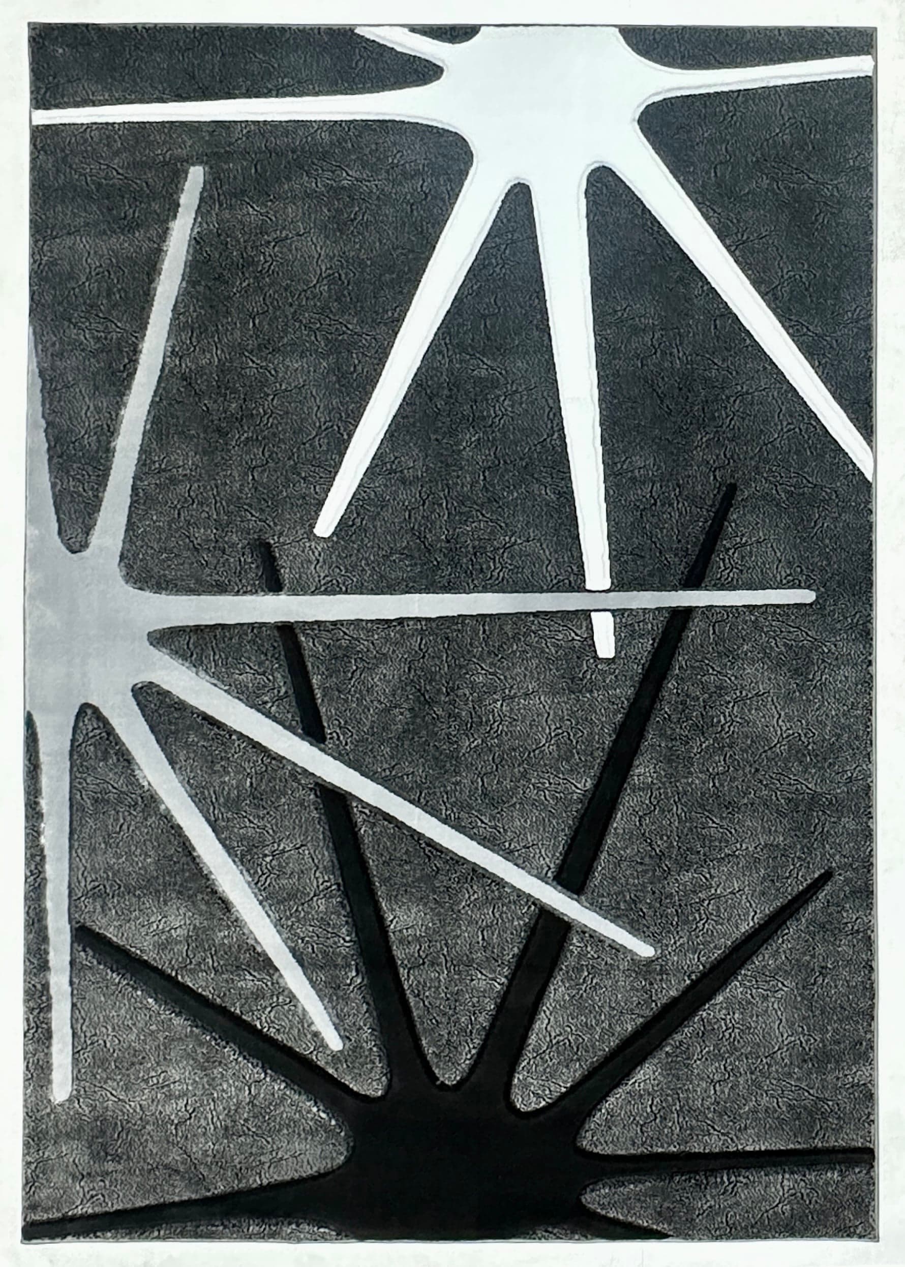 ORION Rug DESIGN 80013 4