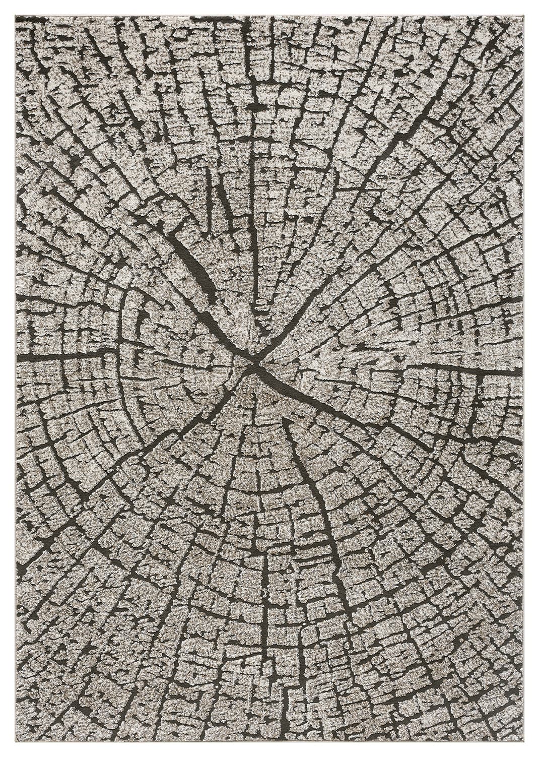 K&D RUG DESIGN 12012 2